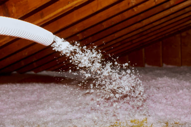 Professional Insulation Contractor in Campbellsville, KY